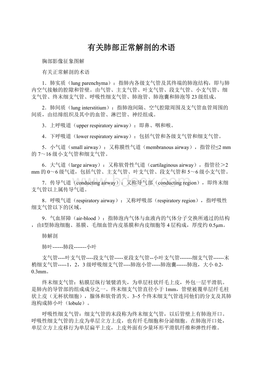 有关肺部正常解剖的术语Word文件下载.docx