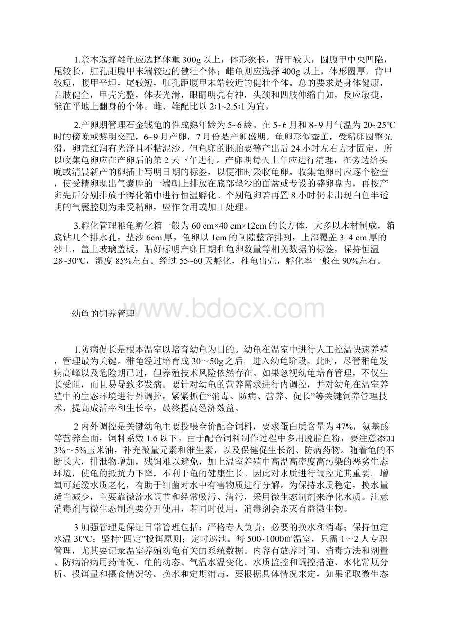 石金钱龟养殖基本方法Word格式.docx_第2页