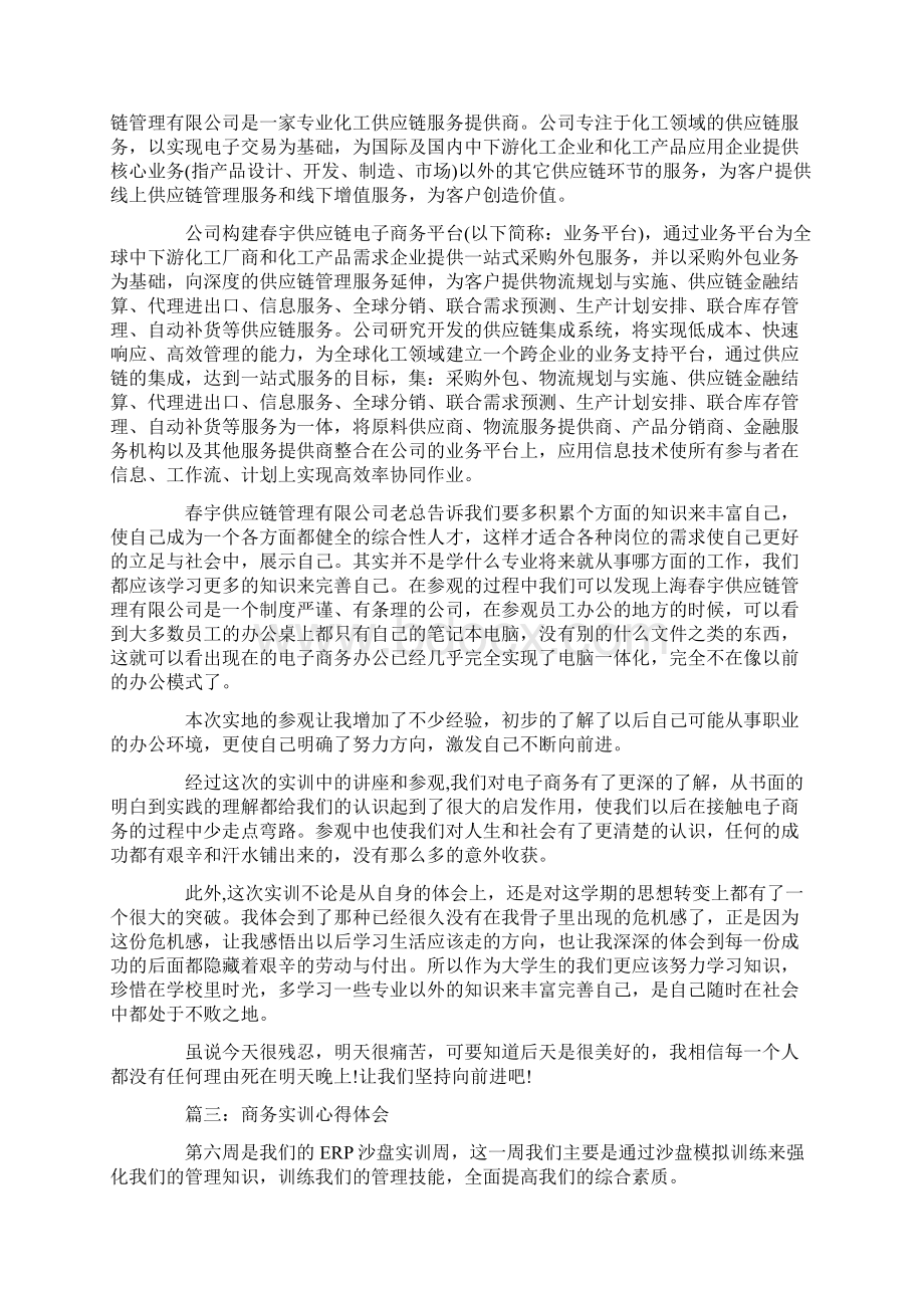 商务实训心得体会3篇文档格式.docx_第3页