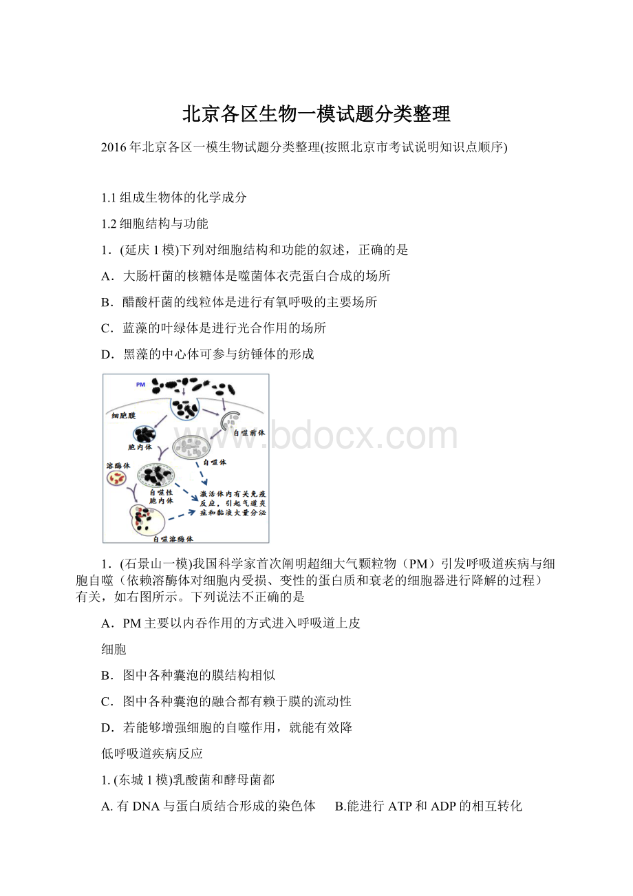 北京各区生物一模试题分类整理Word文档格式.docx