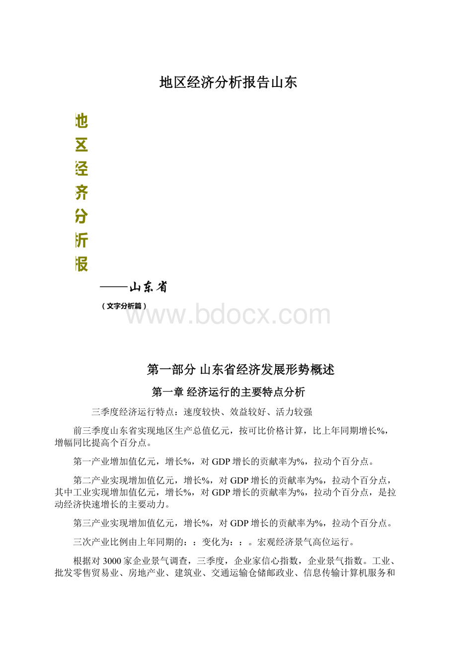 地区经济分析报告山东Word格式.docx_第1页