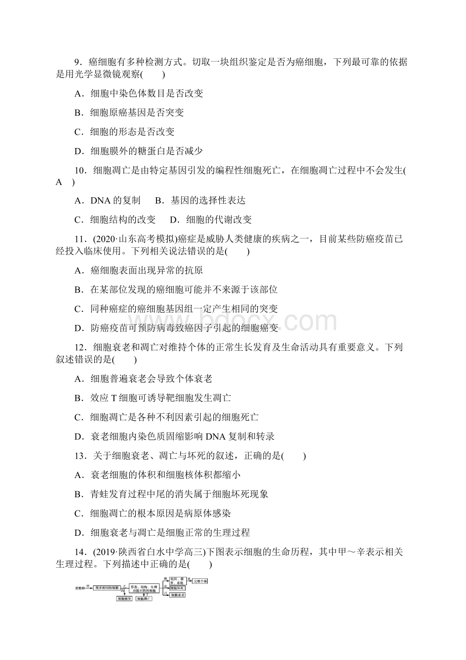 届高三一轮复习生物13细胞的分化衰老凋亡和癌变练习.docx_第3页