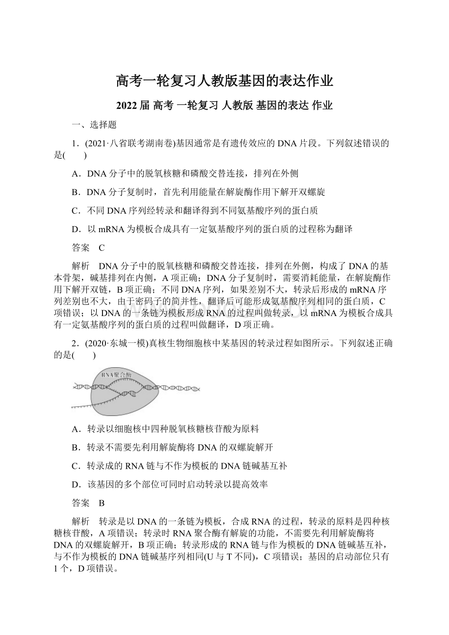 高考一轮复习人教版基因的表达作业.docx_第1页