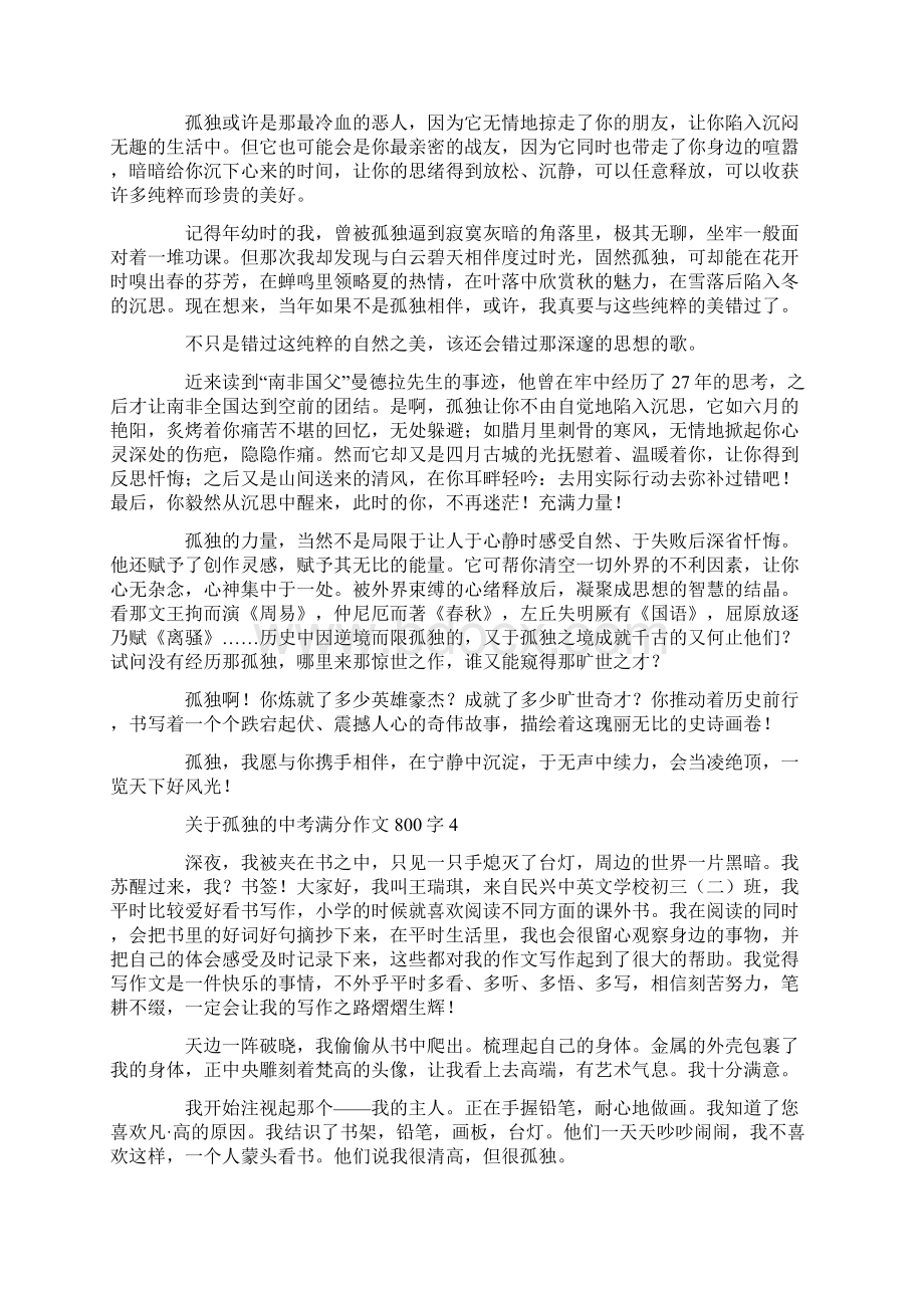 关于孤独的中考满分作文800字.docx_第3页