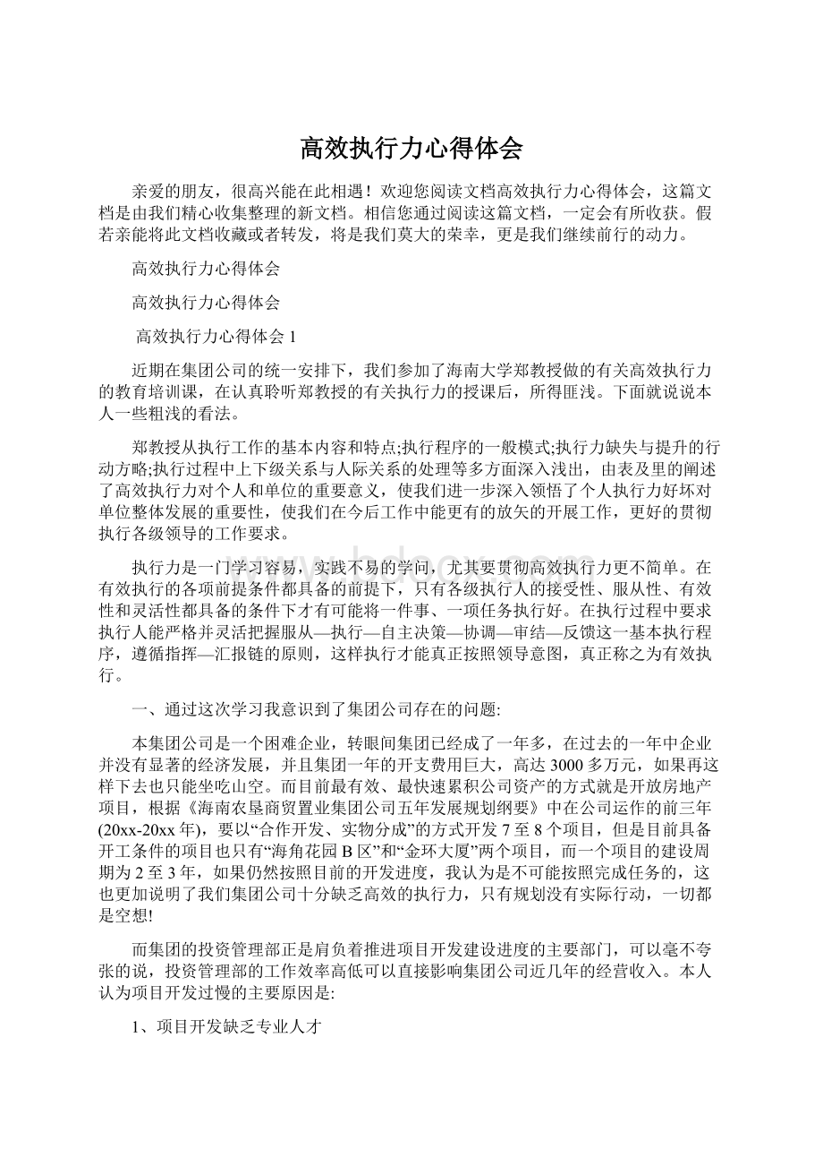 高效执行力心得体会Word文档格式.docx