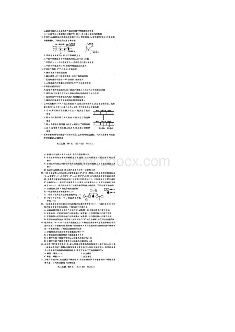 河南省洛阳市届高三上学期第一次统一考试生物试题.docx_第2页