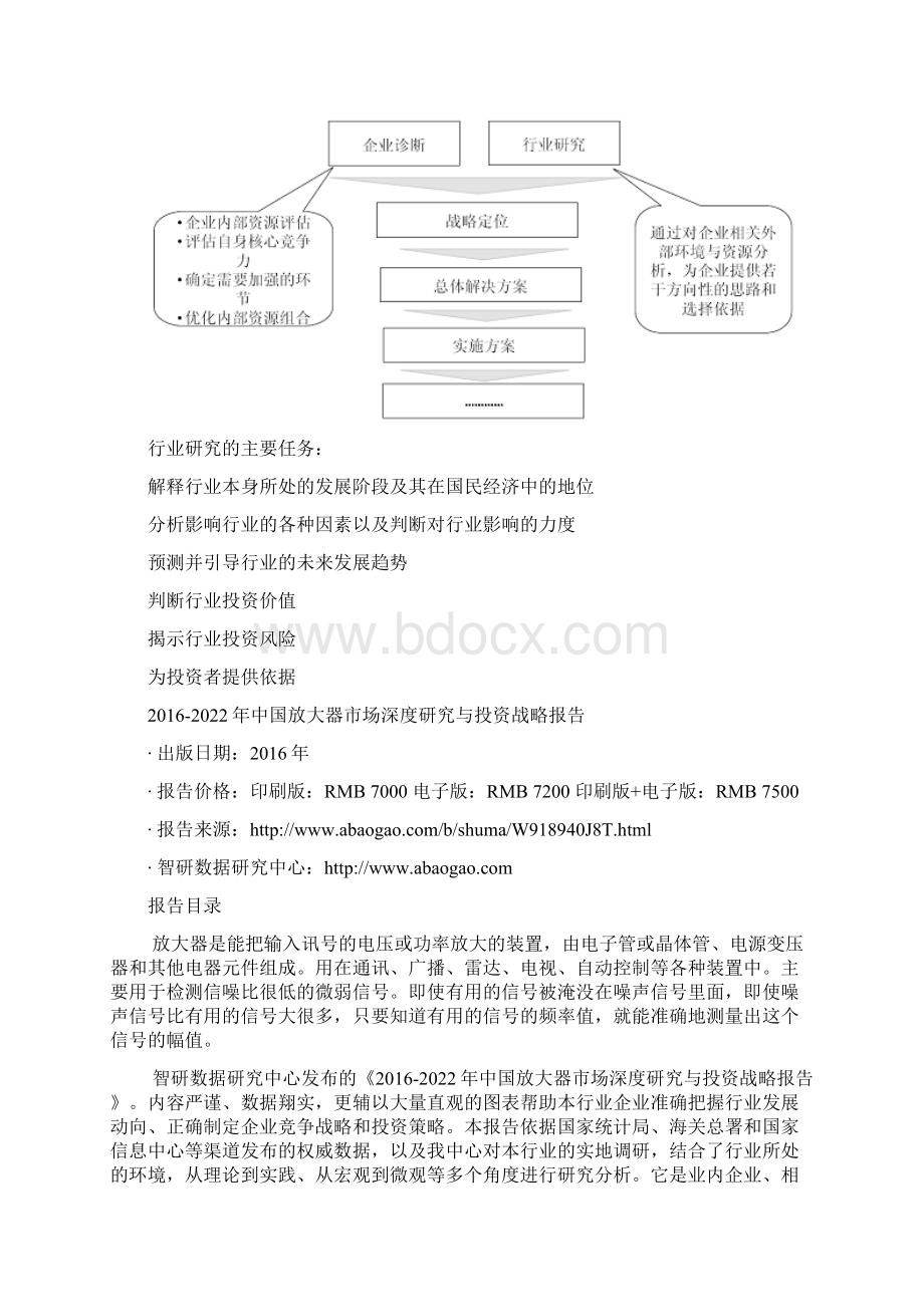 中国放大器市场深度研究与投资战略报告.docx_第3页