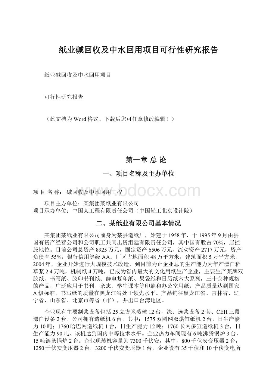 纸业碱回收及中水回用项目可行性研究报告.docx_第1页