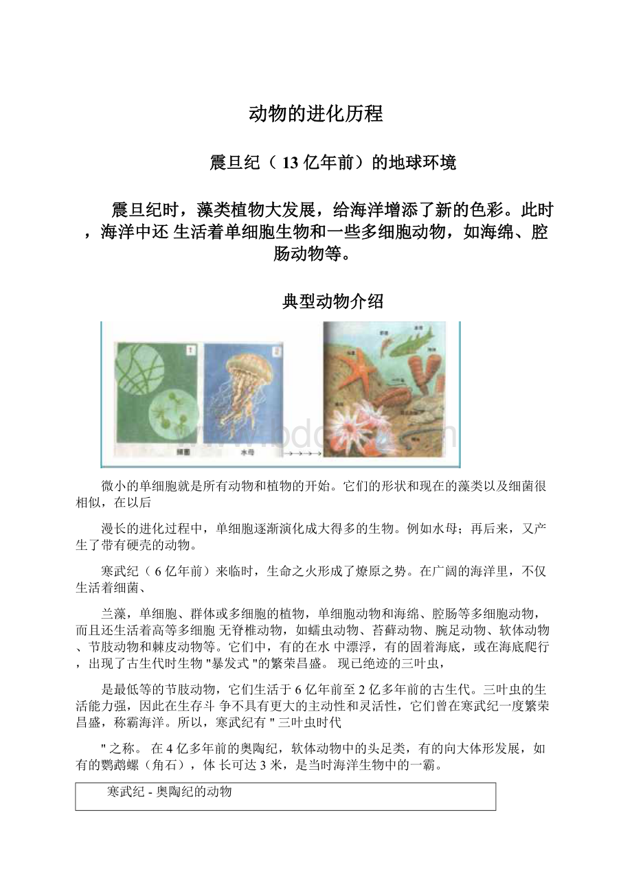 动物的进化历程.docx_第1页