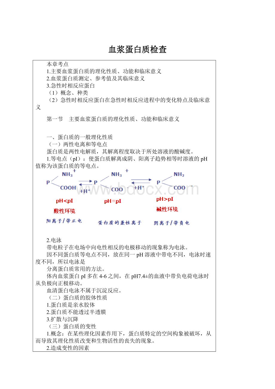 血浆蛋白质检查.docx_第1页