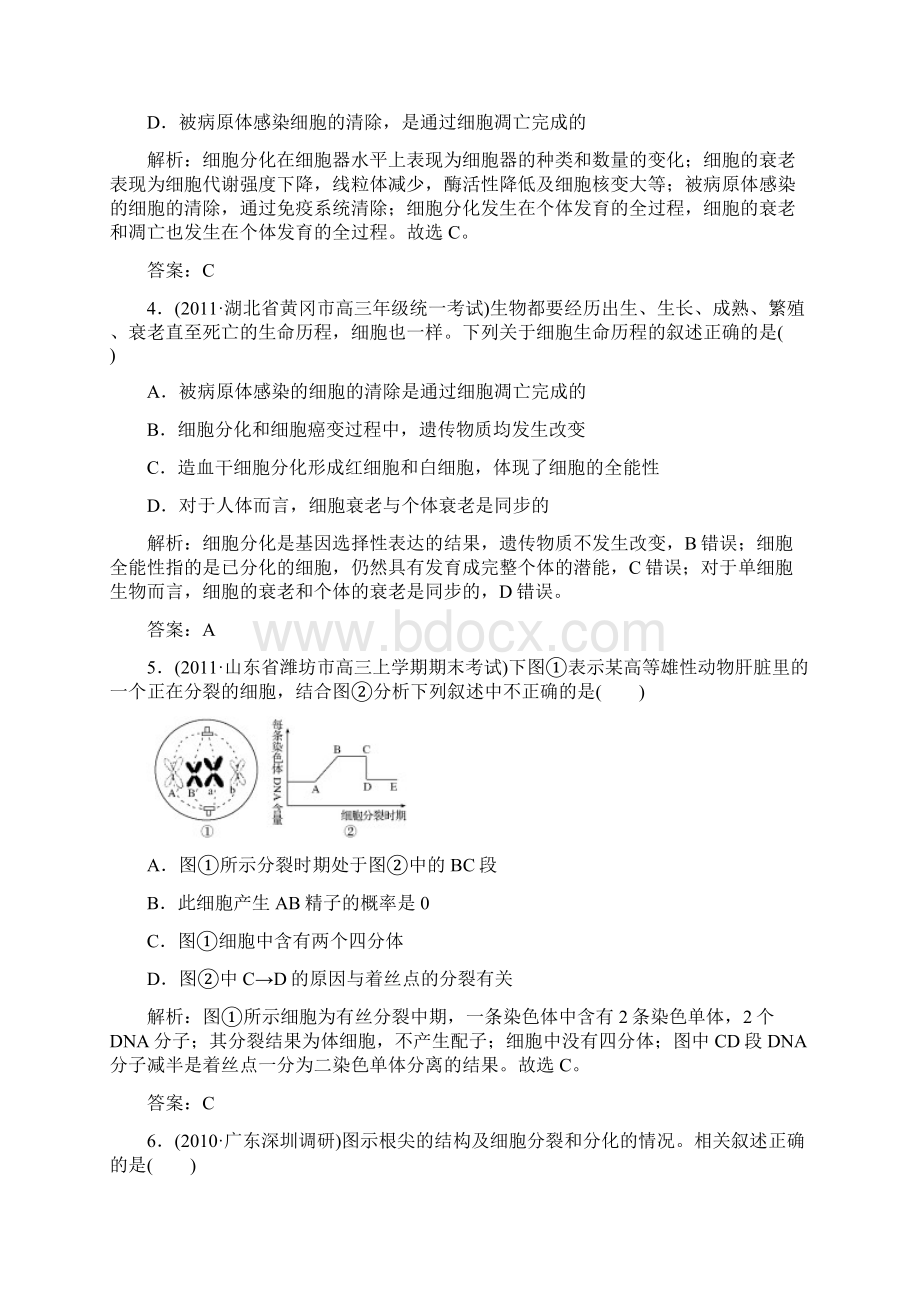 与名师对话届高考生物一轮复习 单元测试4.docx_第2页