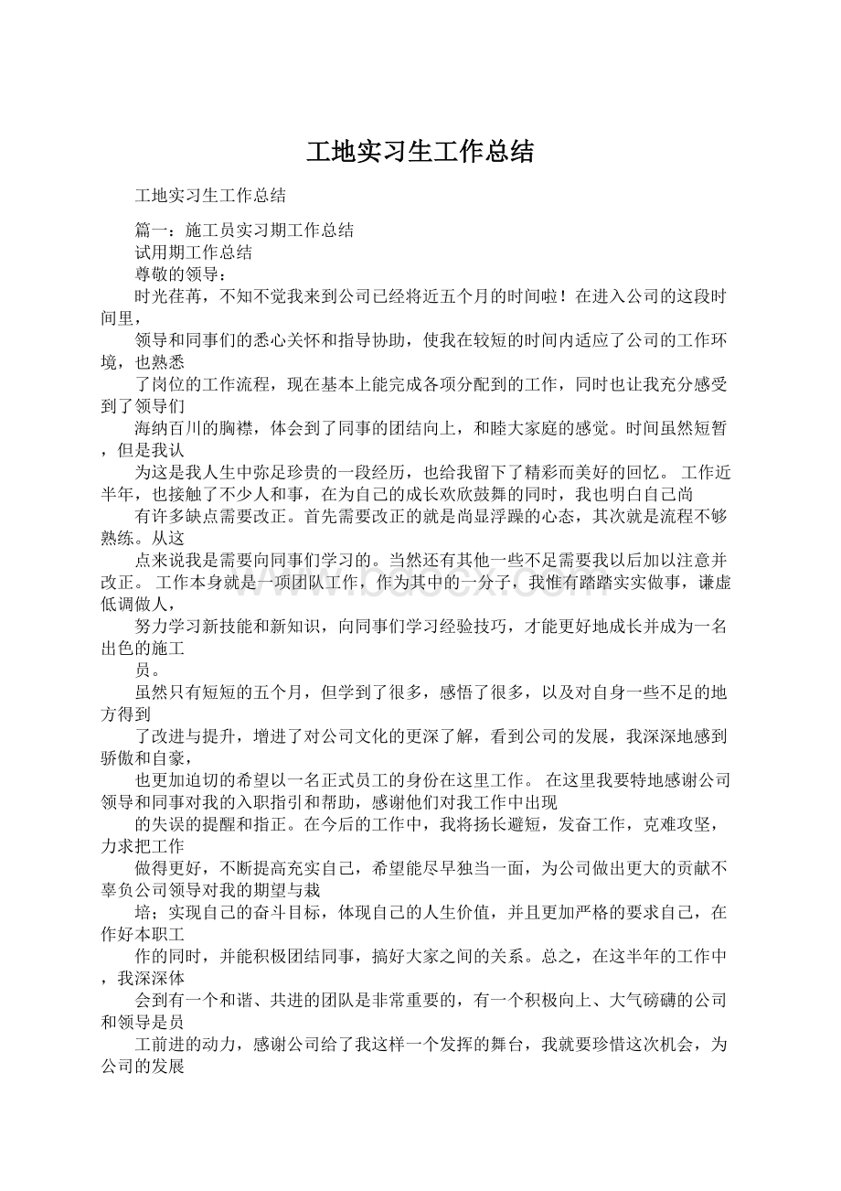 工地实习生工作总结.docx