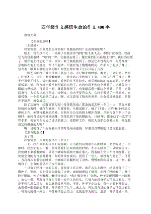 四年级作文感悟生命的作文400字.docx