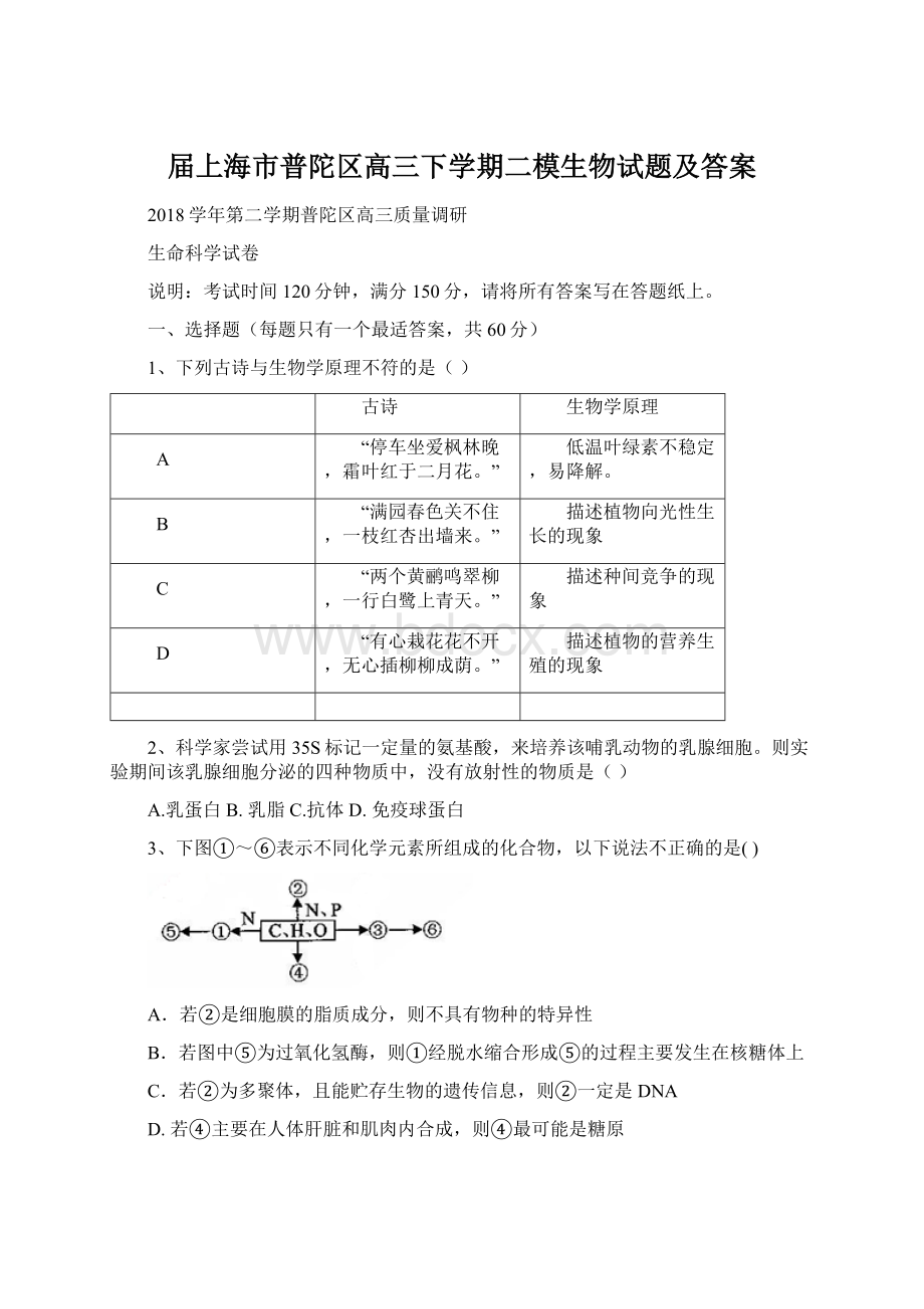 届上海市普陀区高三下学期二模生物试题及答案Word格式文档下载.docx