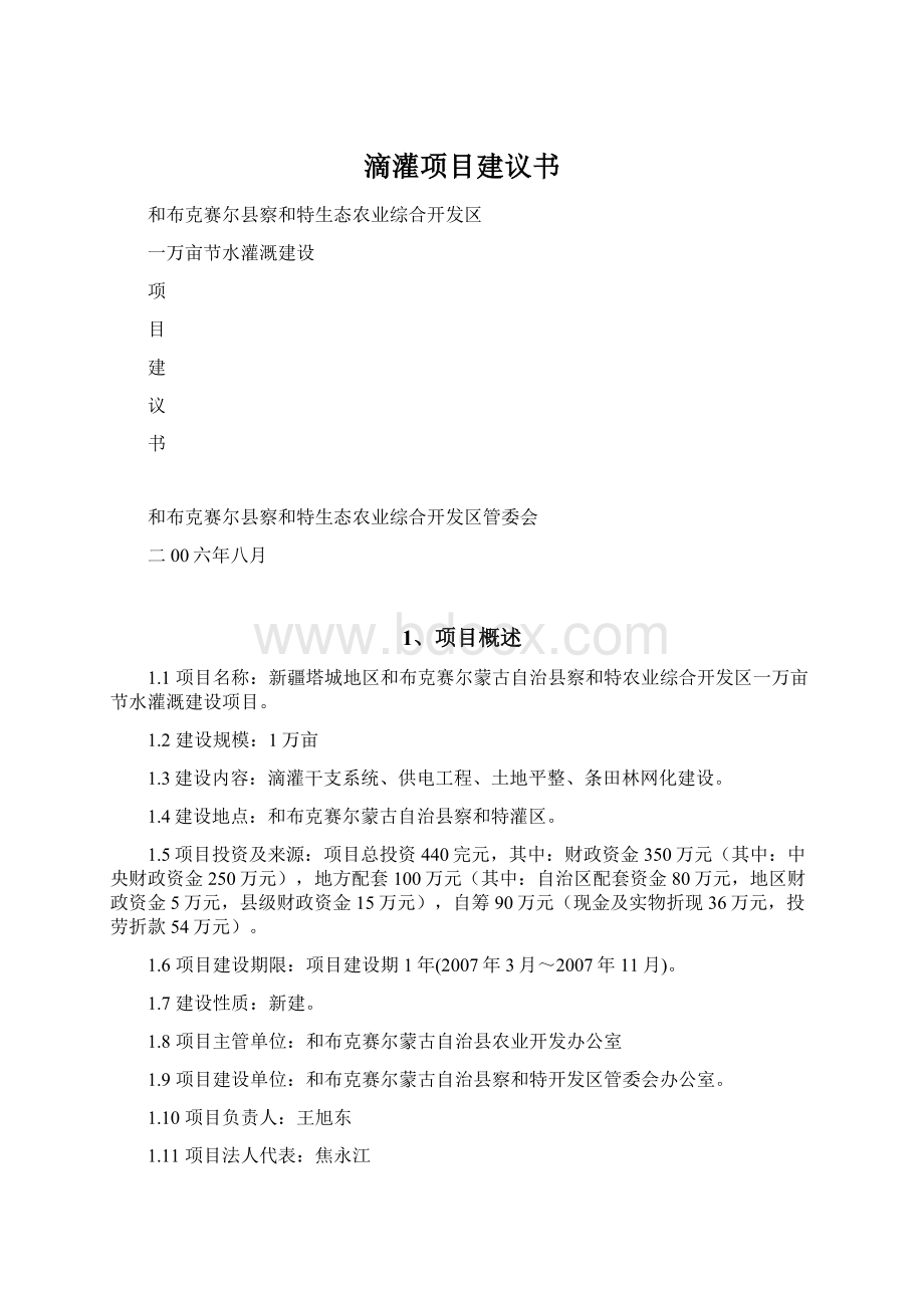 滴灌项目建议书Word格式文档下载.docx