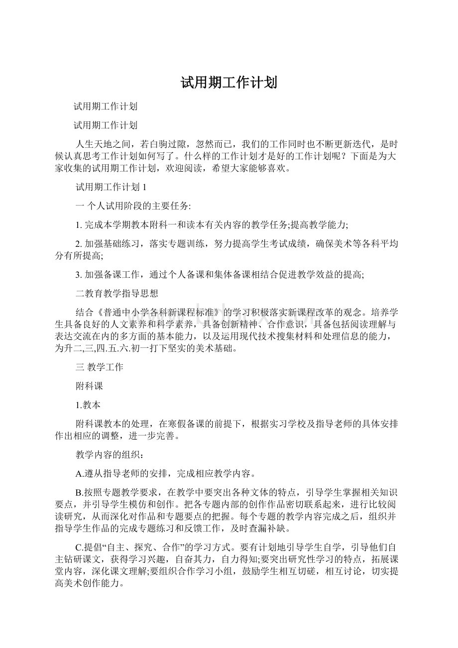 试用期工作计划.docx_第1页