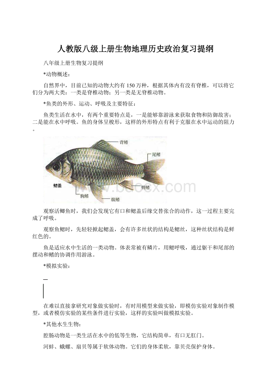 人教版八级上册生物地理历史政治复习提纲Word下载.docx