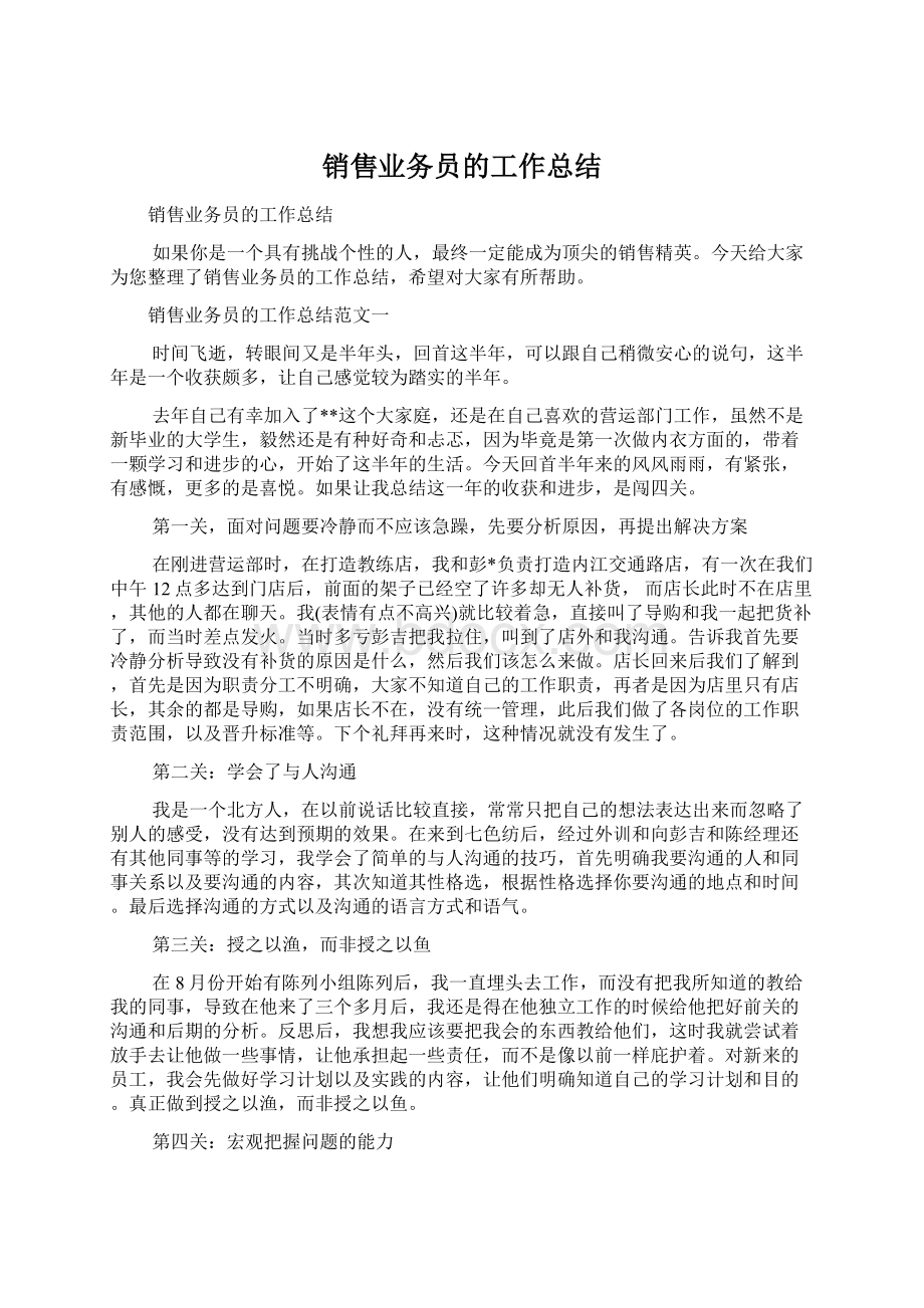 销售业务员的工作总结.docx