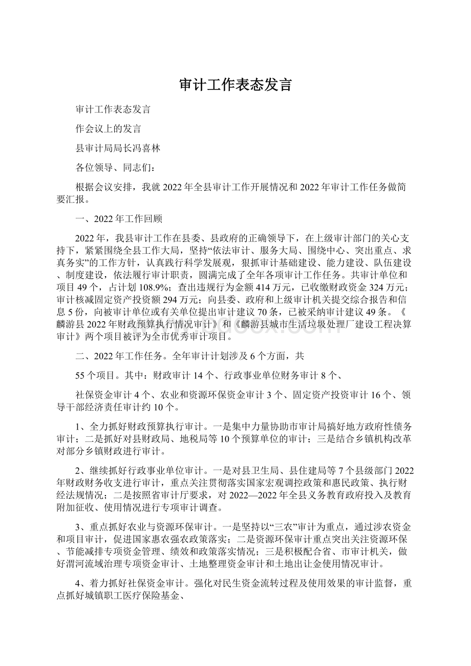 审计工作表态发言.docx