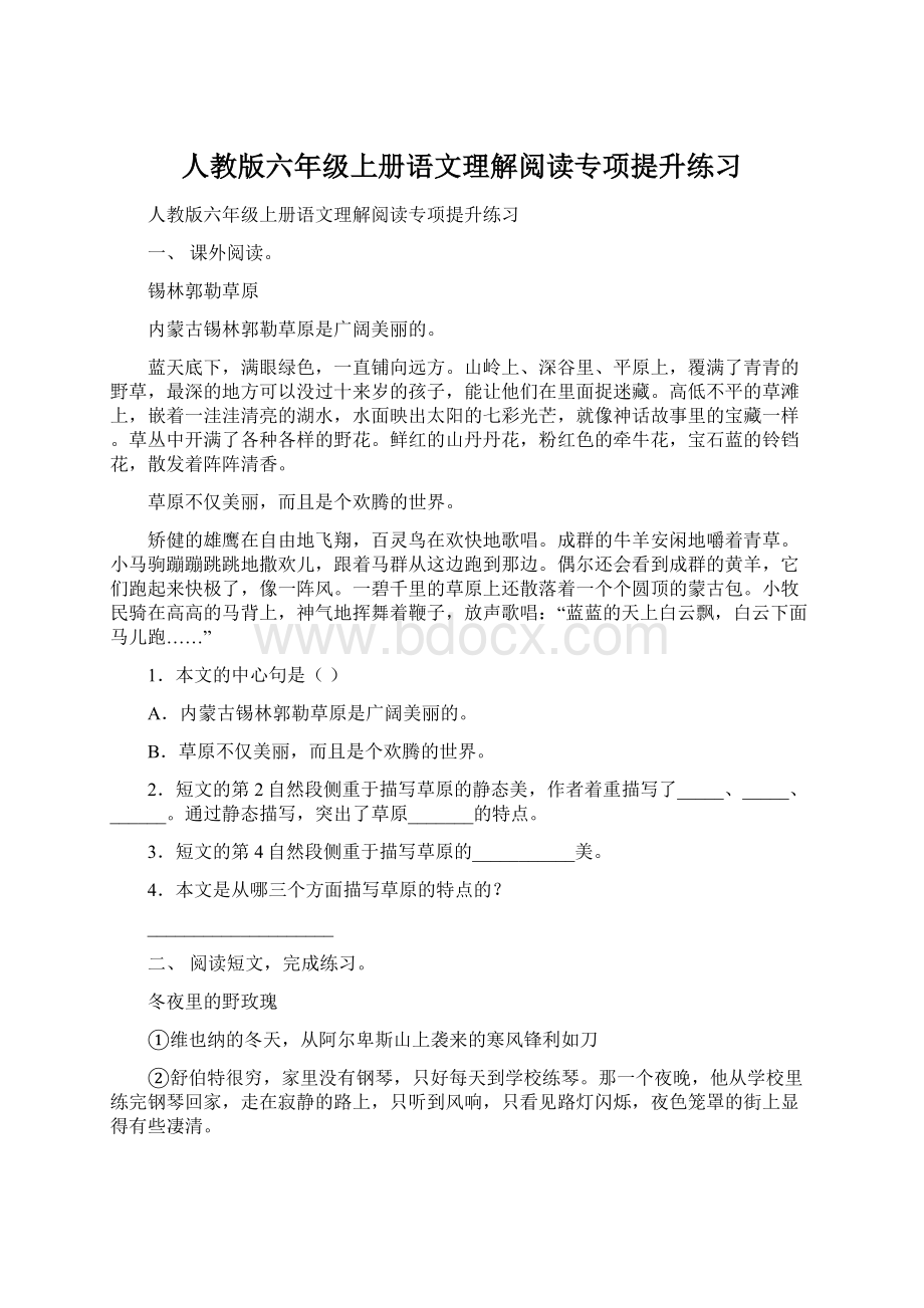 人教版六年级上册语文理解阅读专项提升练习.docx