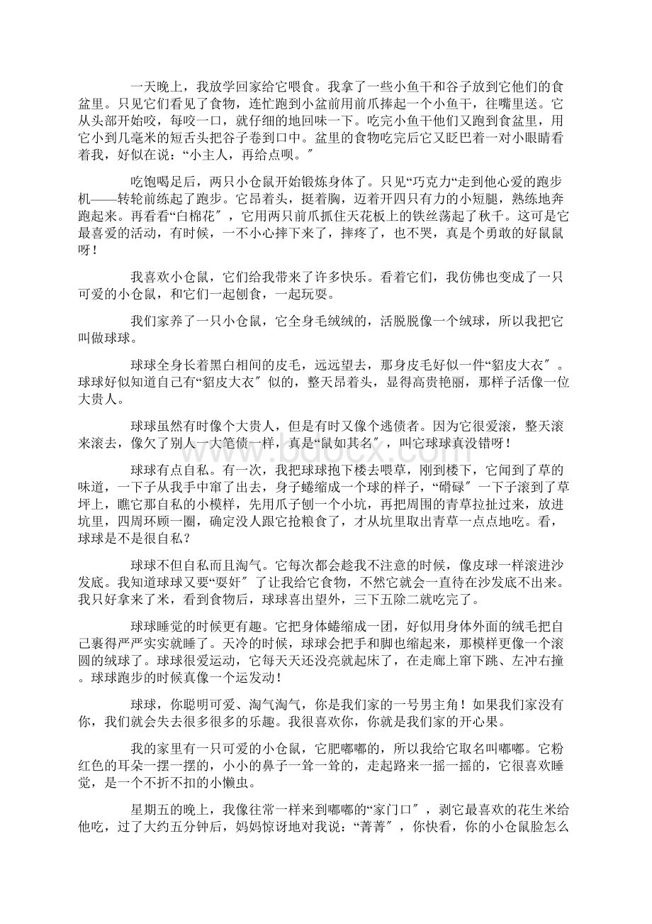 我的小仓鼠作文600字精选.docx_第2页