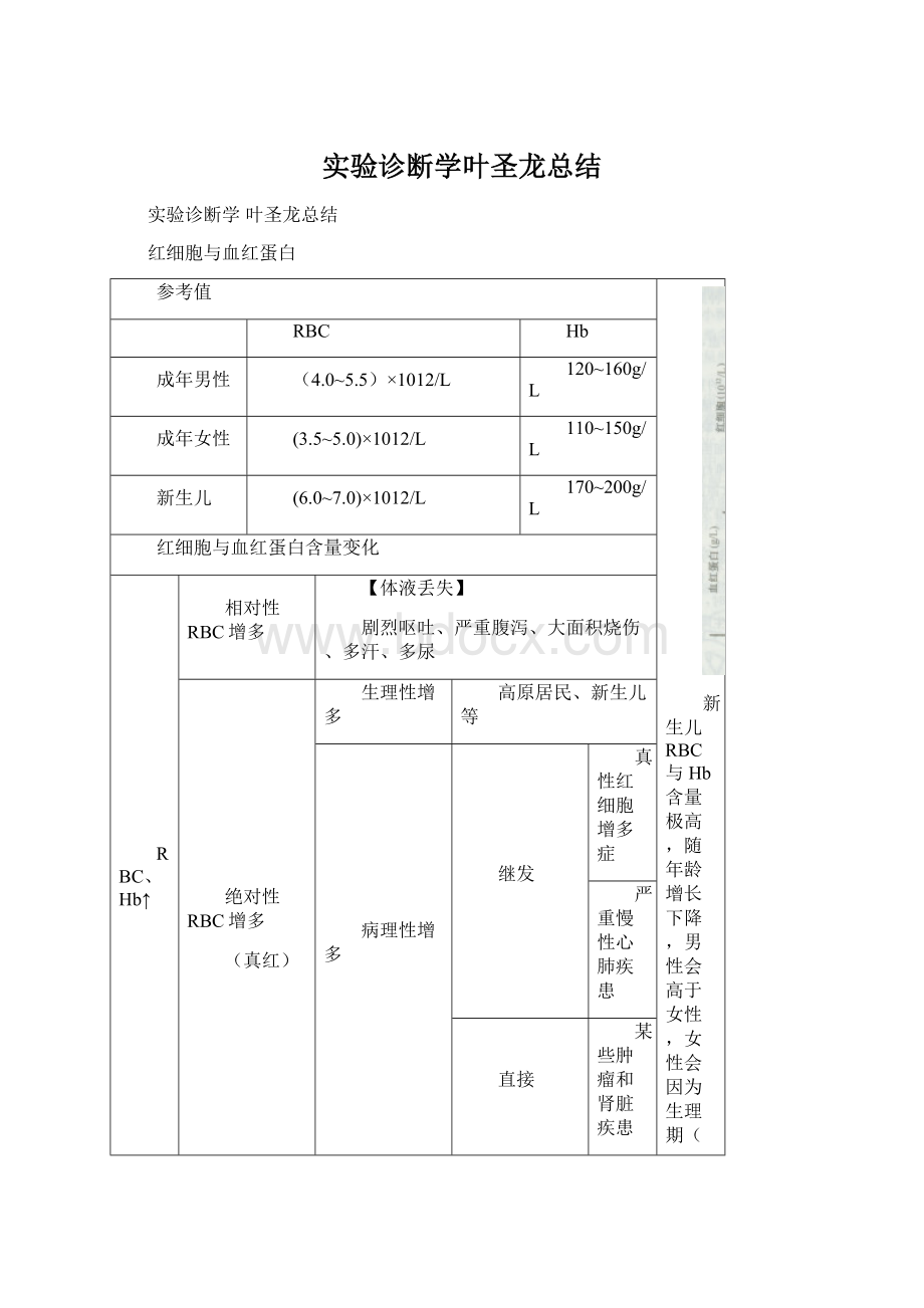 实验诊断学叶圣龙总结.docx