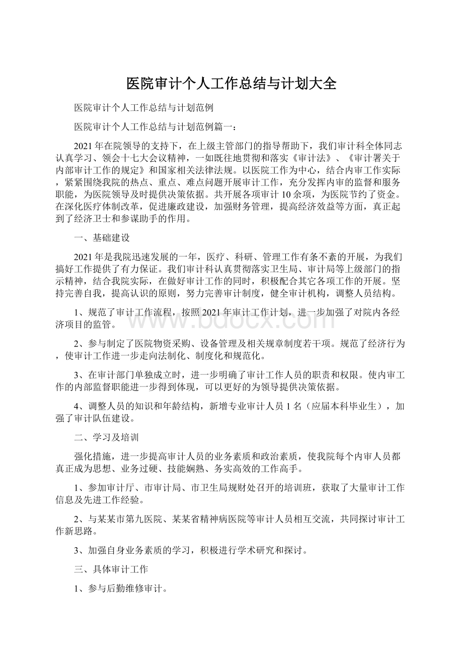 医院审计个人工作总结与计划大全Word文档格式.docx