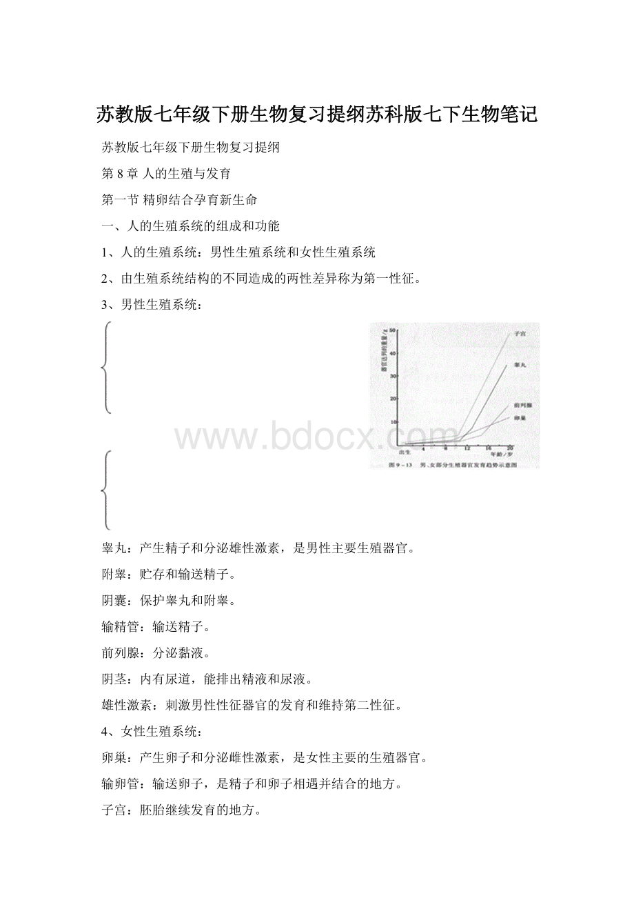 苏教版七年级下册生物复习提纲苏科版七下生物笔记.docx