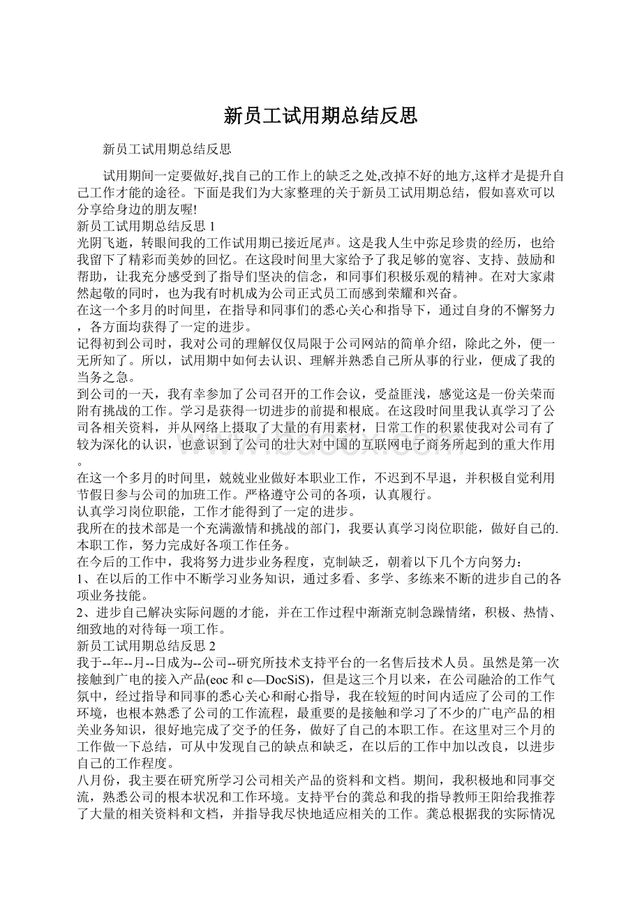 新员工试用期总结反思Word格式文档下载.docx