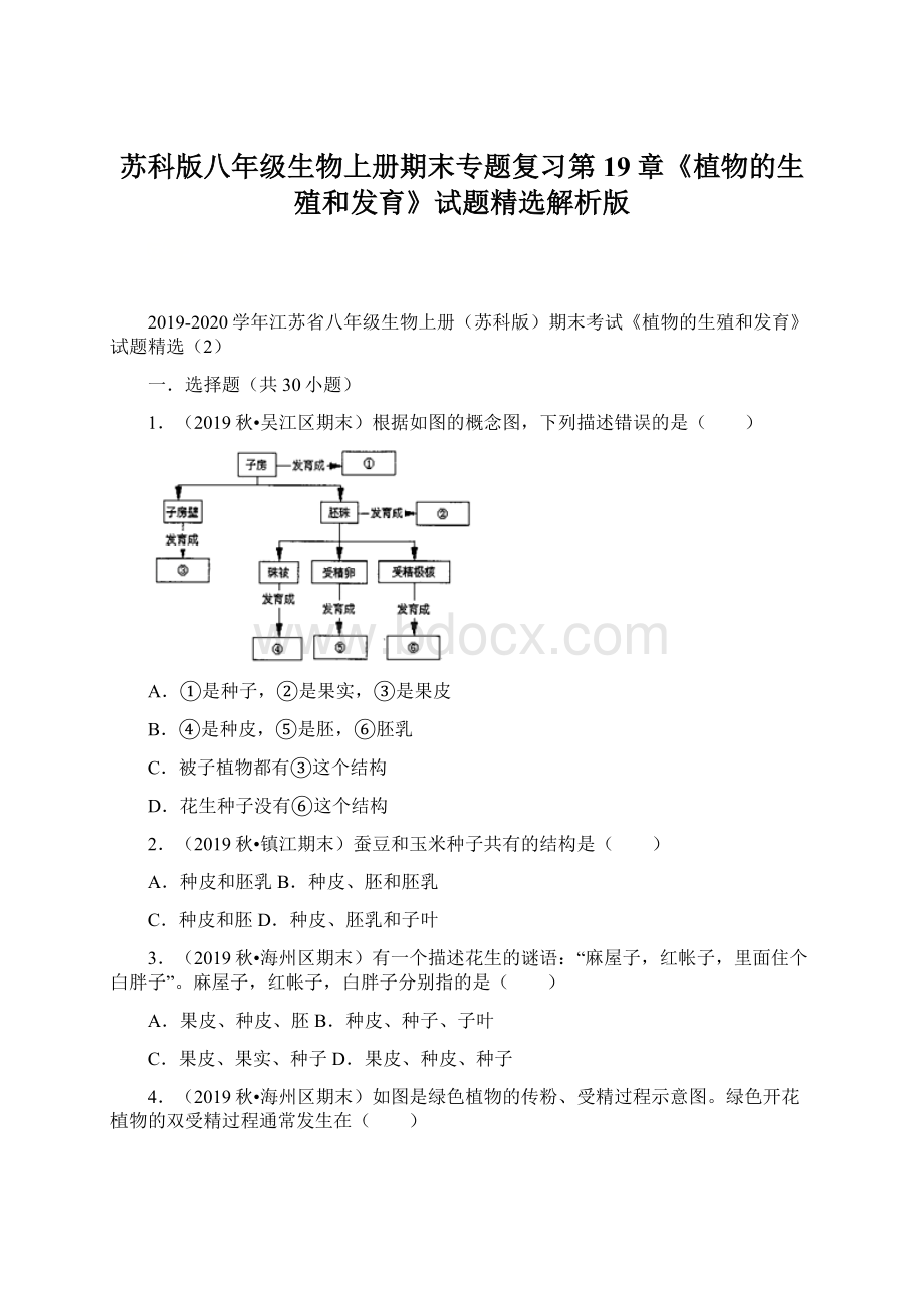 苏科版八年级生物上册期末专题复习第19章《植物的生殖和发育》试题精选解析版.docx_第1页