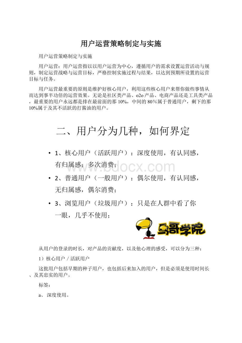 用户运营策略制定与实施.docx_第1页