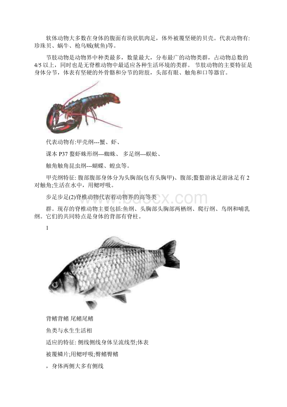 最新最新版本苏教版八年级上册生物八年级知识点整理1最新精选优秀名师资料.docx_第2页