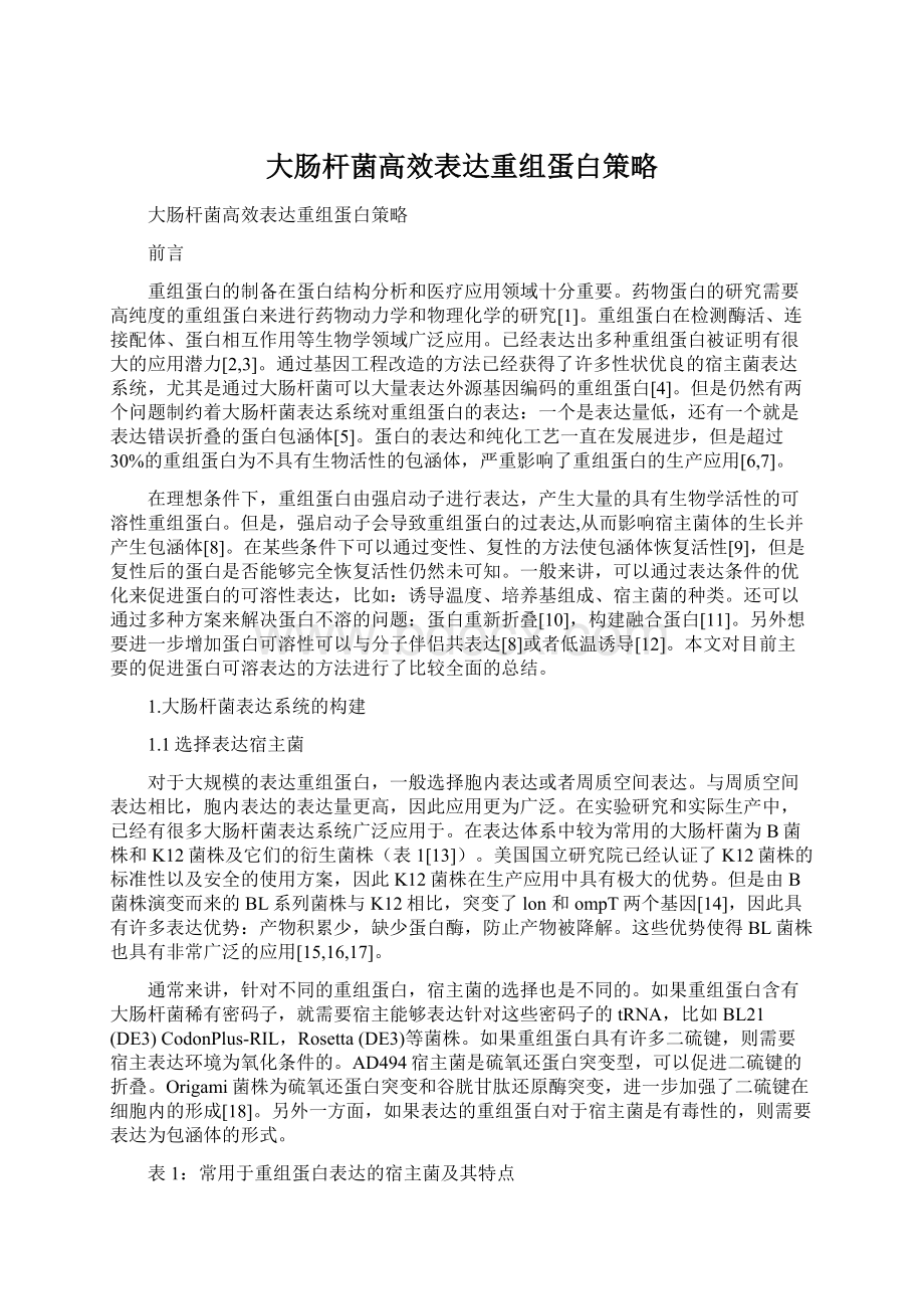 大肠杆菌高效表达重组蛋白策略.docx