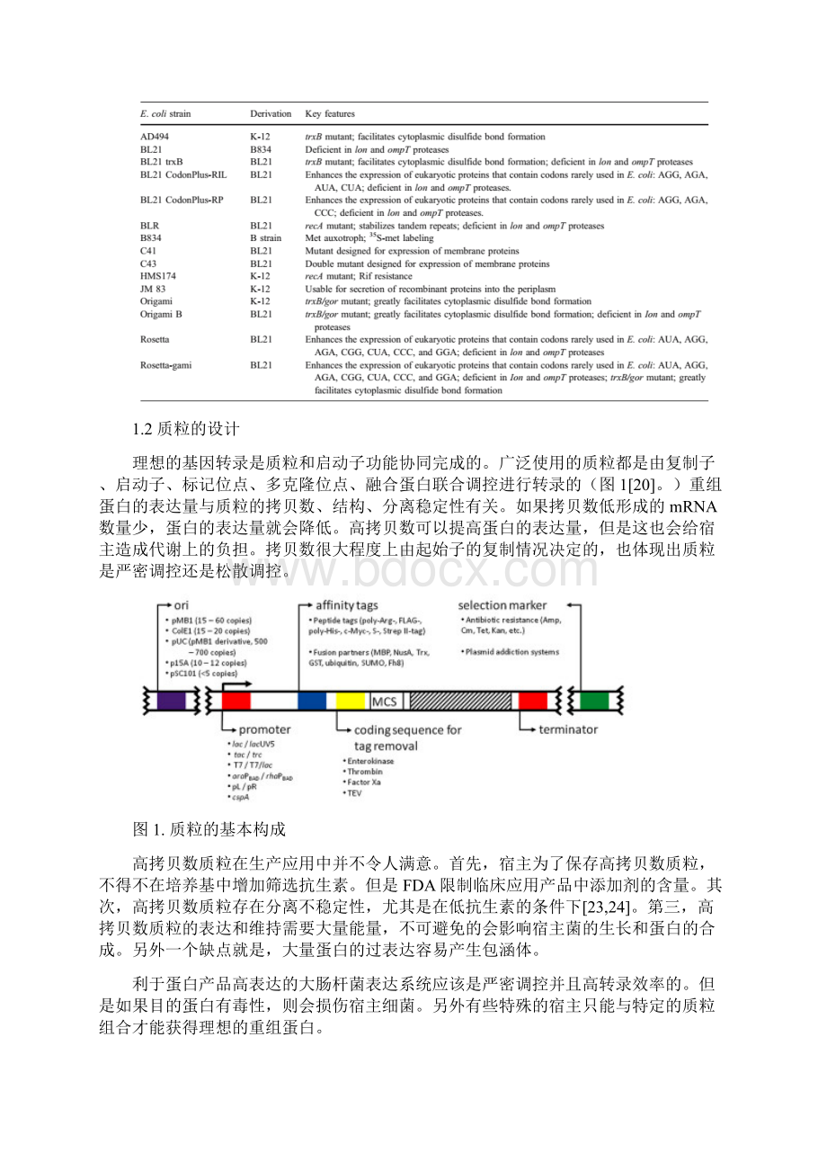 大肠杆菌高效表达重组蛋白策略.docx_第2页