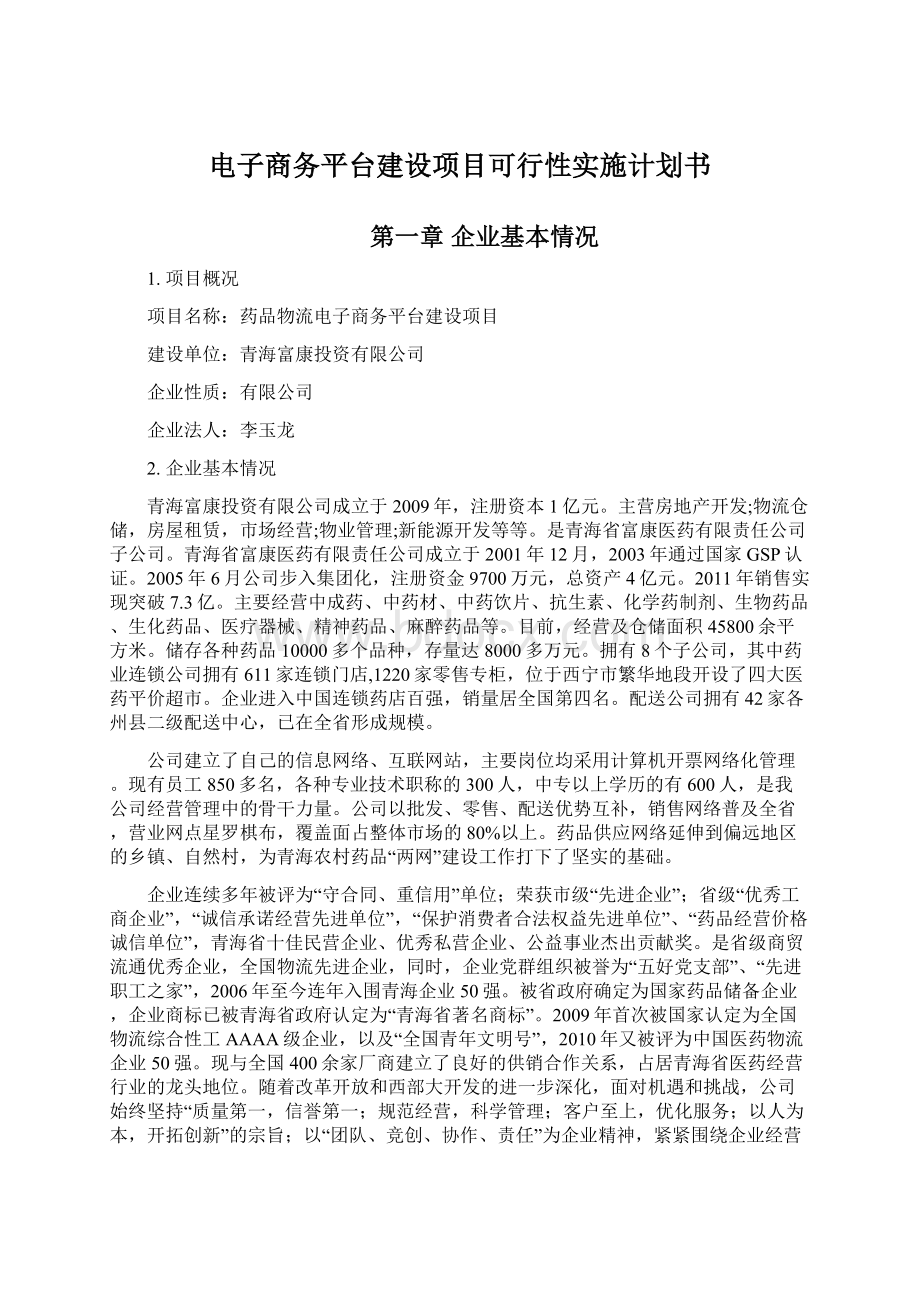 电子商务平台建设项目可行性实施计划书.docx