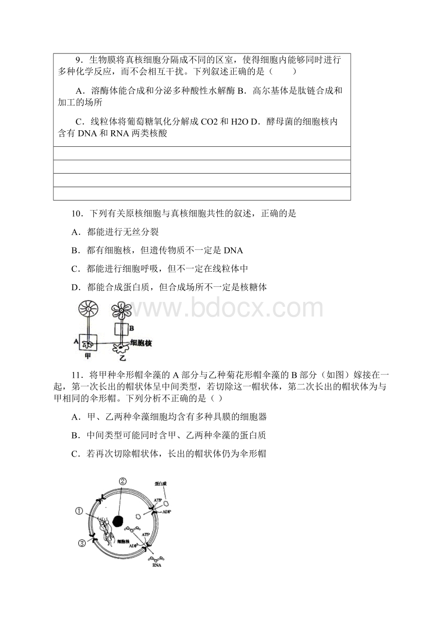 春湖北省荆荆襄宜四地七校考试联盟高一期中联考.docx_第3页