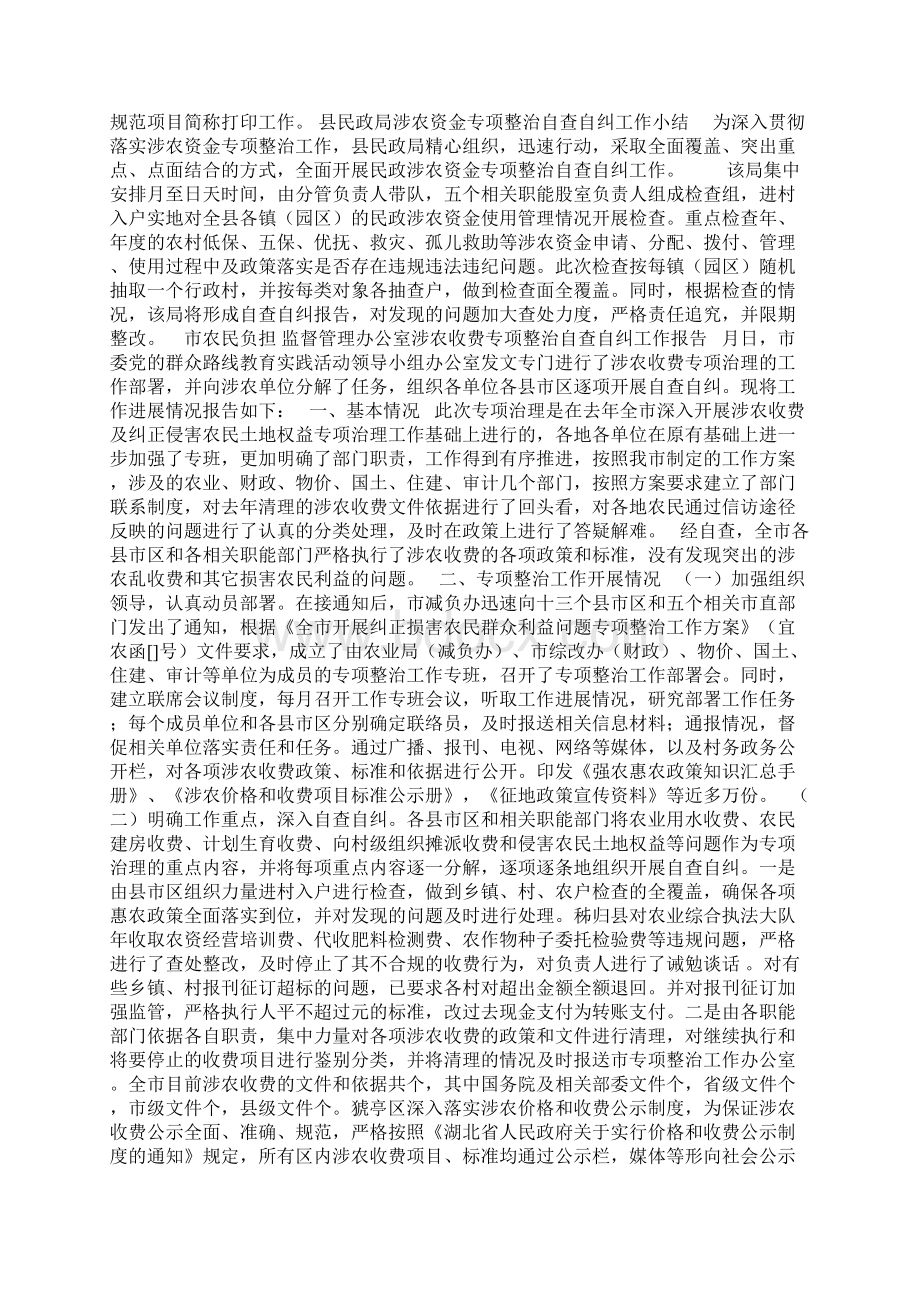 涉农资金专项整治行动自查自纠报告Word文档格式.docx_第2页