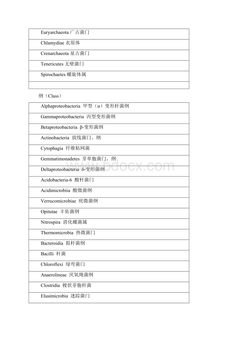 常见微生物的界门纲目科属种中英文对照文档格式.docx_第2页