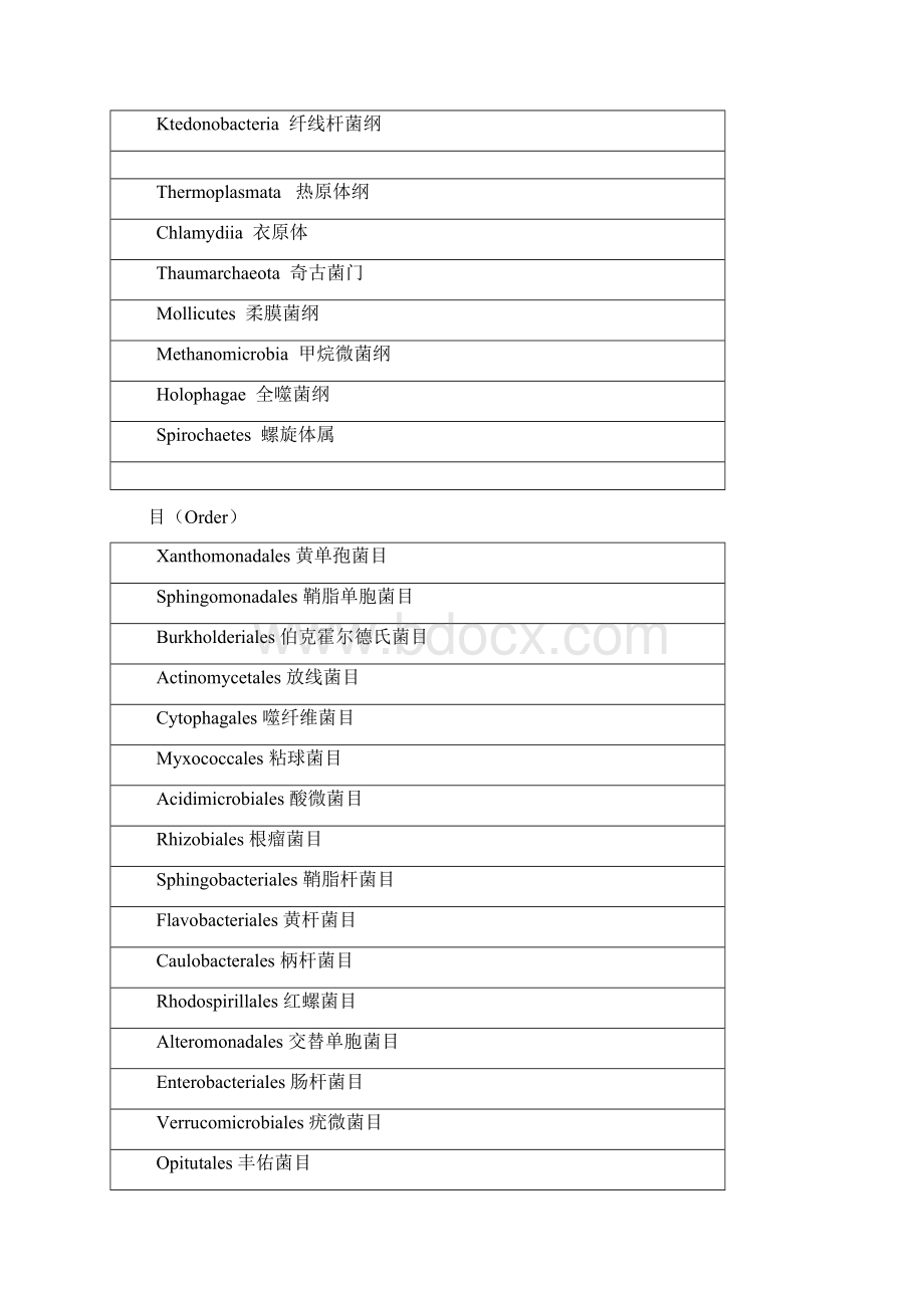 常见微生物的界门纲目科属种中英文对照文档格式.docx_第3页