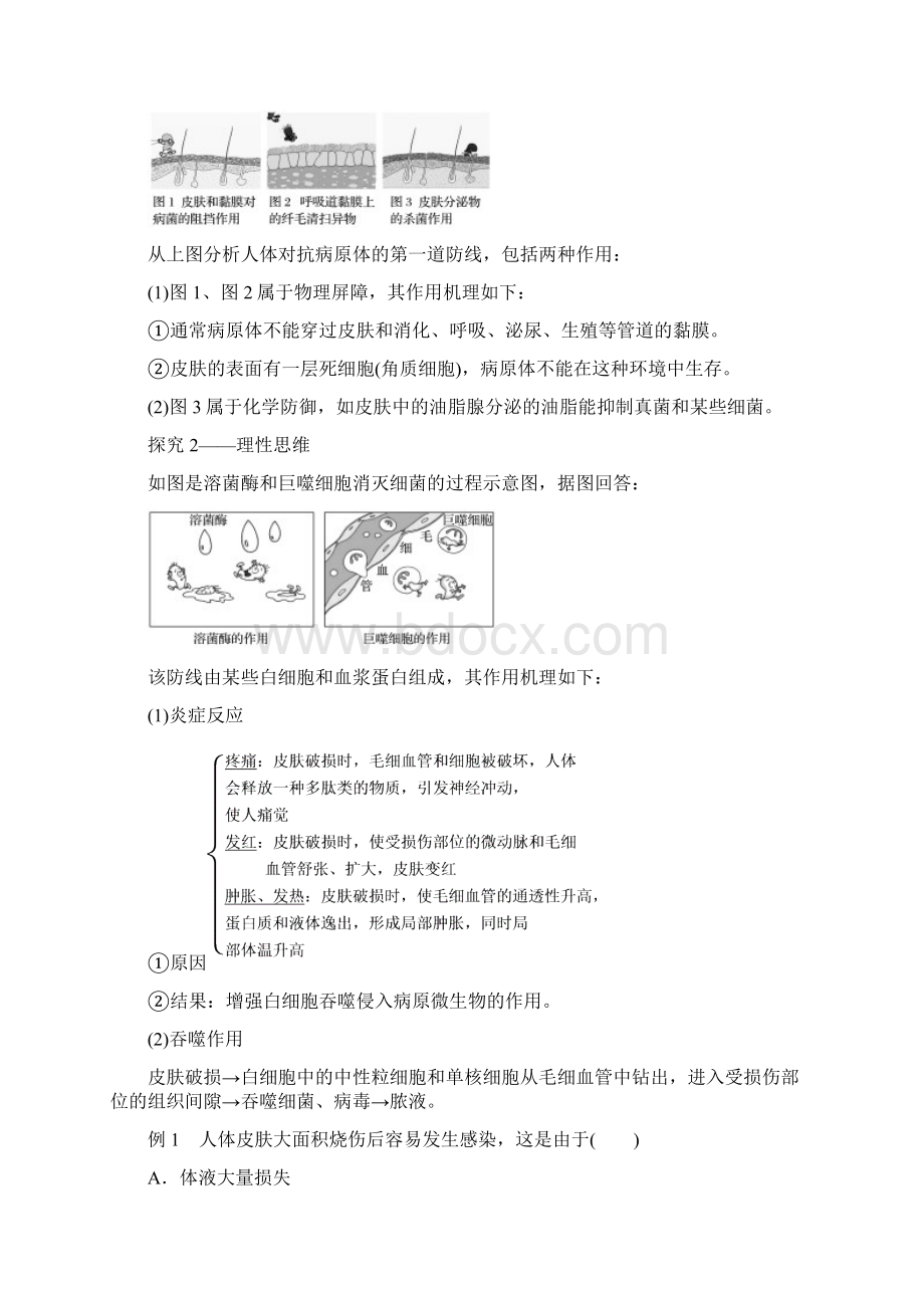 浙江专版版高中生物第三章免疫系统与免疫功能第6课时人体对抗病原体感染的非特异性防卫学案浙科版.docx_第3页