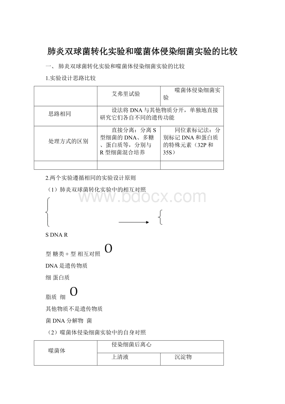 肺炎双球菌转化实验和噬菌体侵染细菌实验的比较Word下载.docx