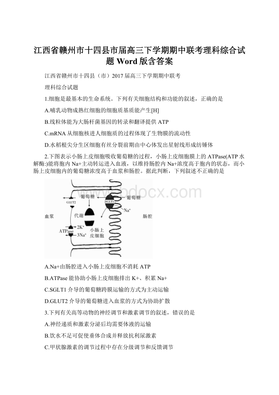 江西省赣州市十四县市届高三下学期期中联考理科综合试题Word版含答案.docx