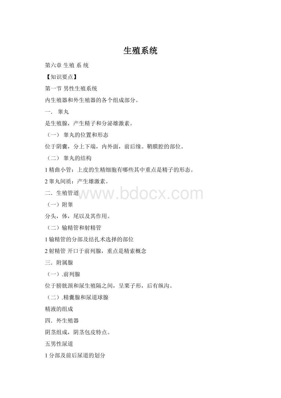 生殖系统Word文件下载.docx_第1页