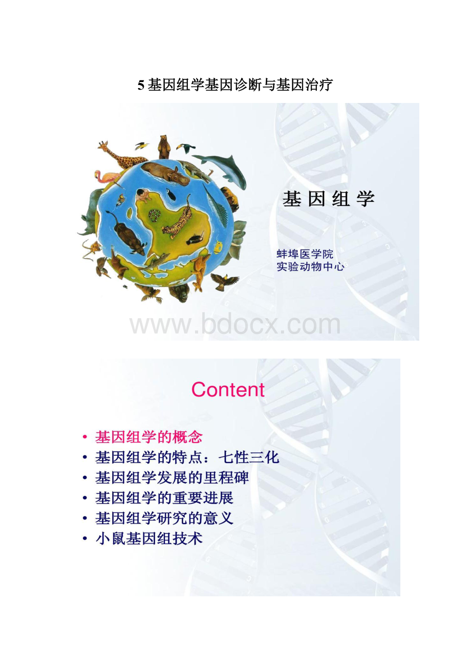 5基因组学基因诊断与基因治疗Word下载.docx