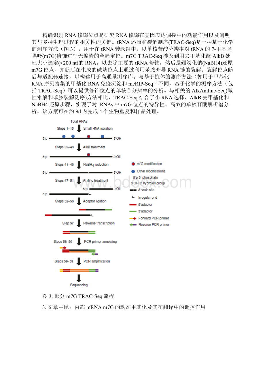 热点追踪核苷修饰m7G高分文章简单解读.docx_第3页