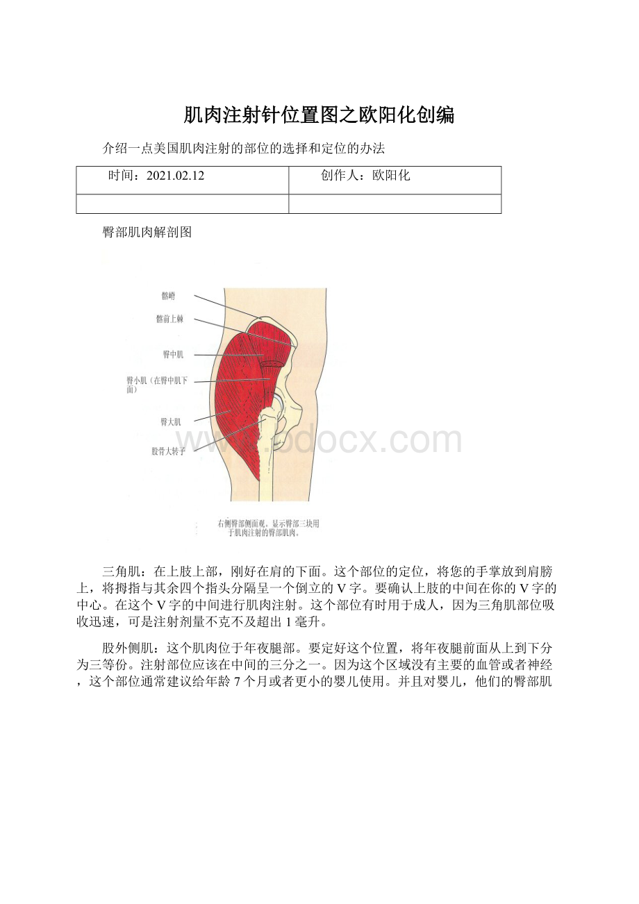 肌肉注射针位置图之欧阳化创编Word格式文档下载.docx