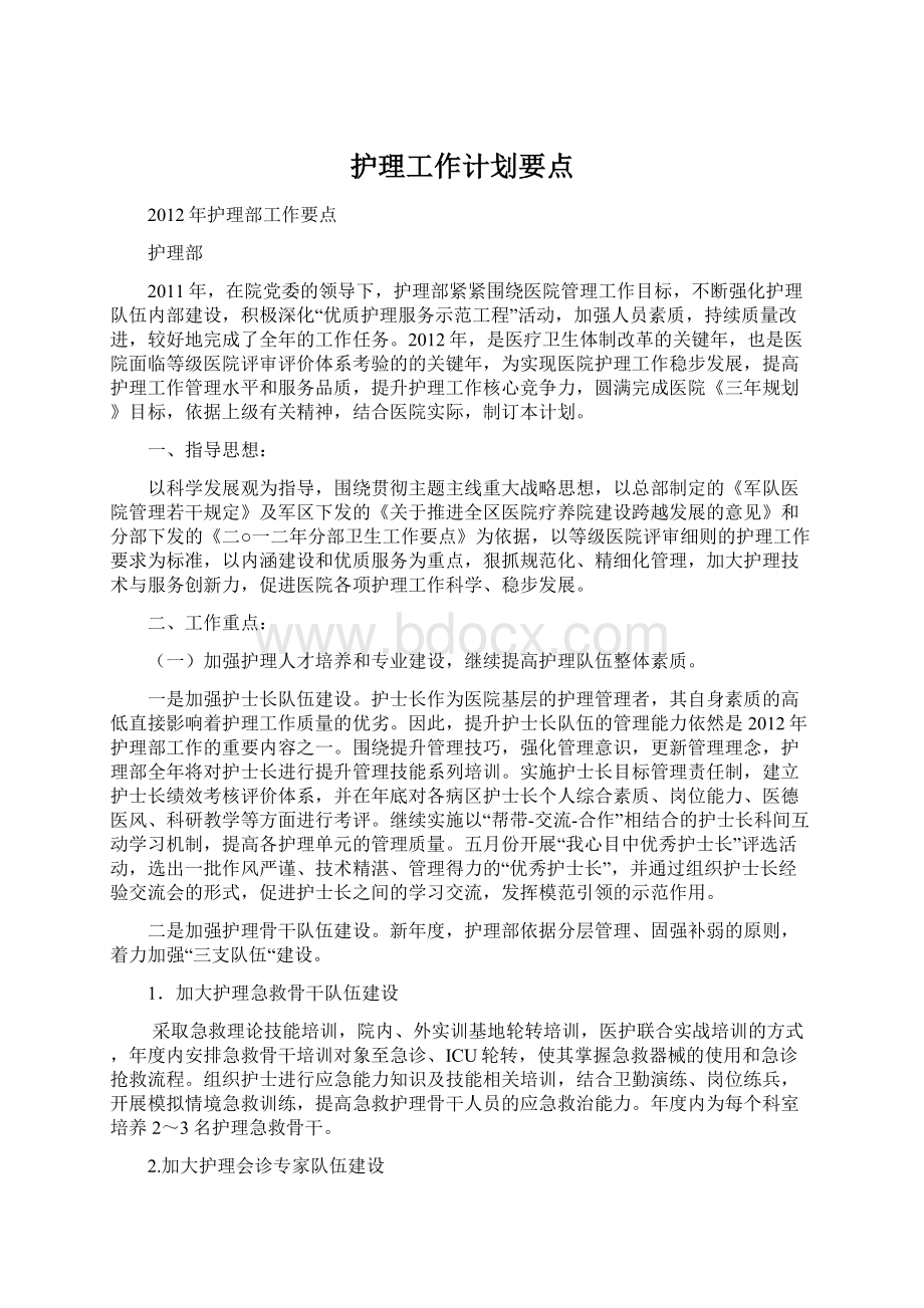 护理工作计划要点文档格式.docx_第1页