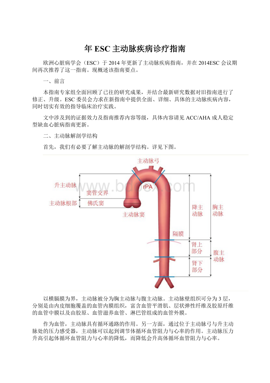 年ESC主动脉疾病诊疗指南Word文档下载推荐.docx