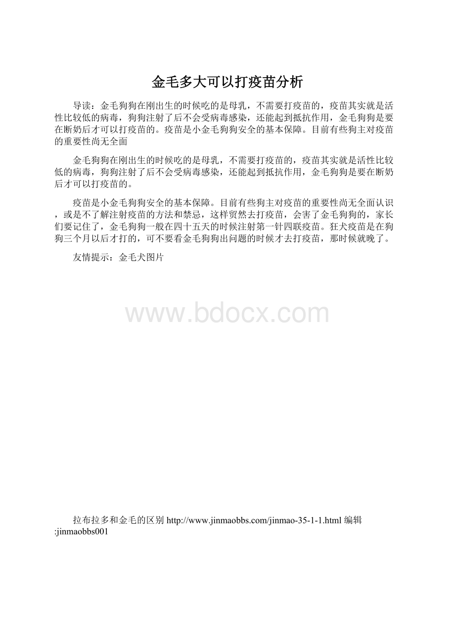 金毛多大可以打疫苗分析.docx_第1页