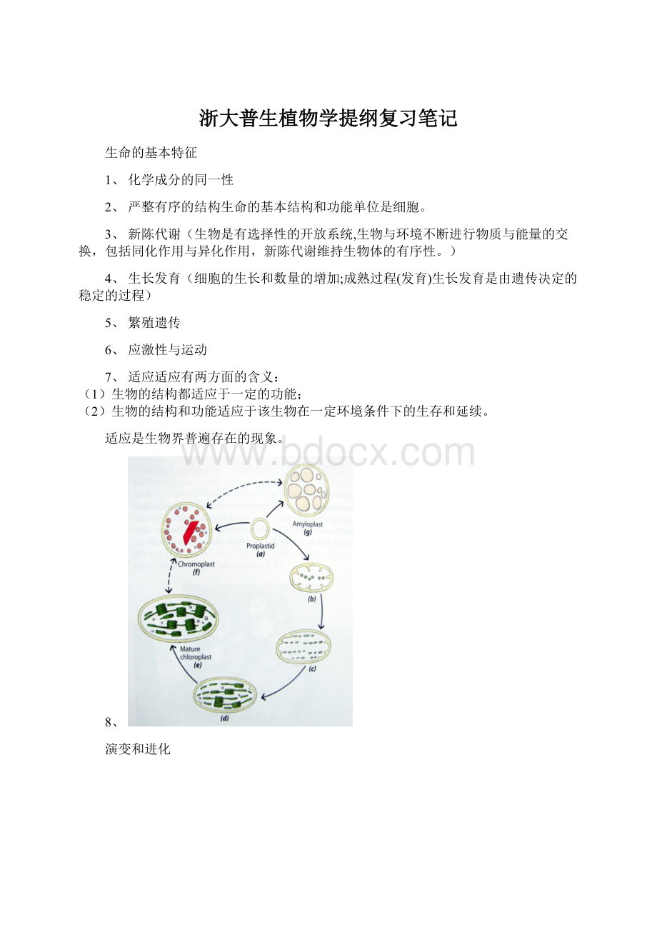 浙大普生植物学提纲复习笔记文档格式.docx_第1页